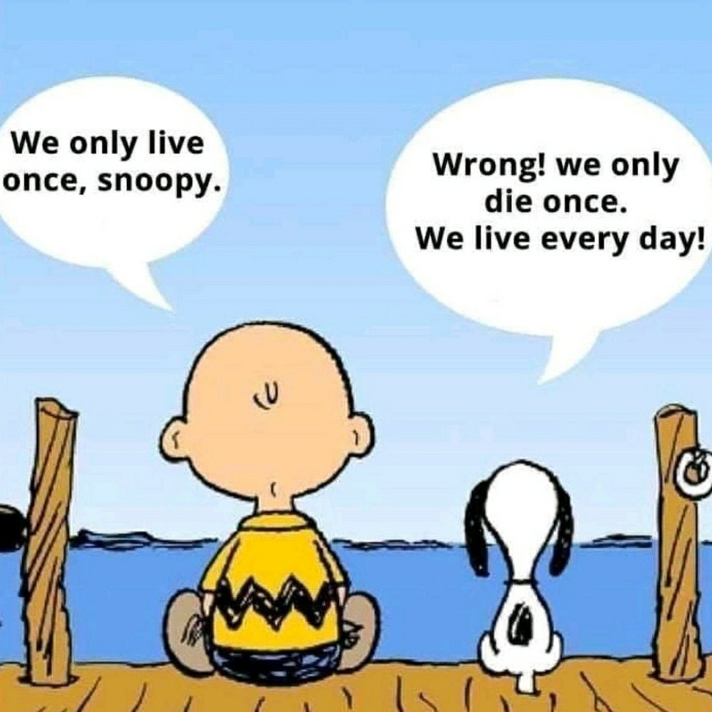 I am a "POSH  AMBASSADOAR" Since 2018! I agree with with Snoopy 100%🌹